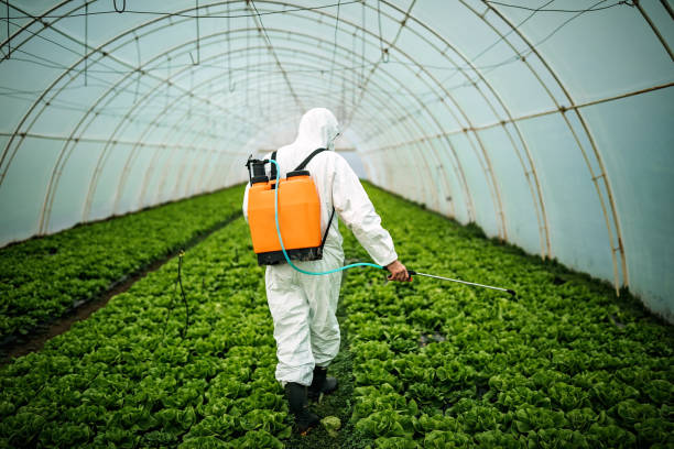 Best Best Pest Control Companies  in Leonardtown, MD