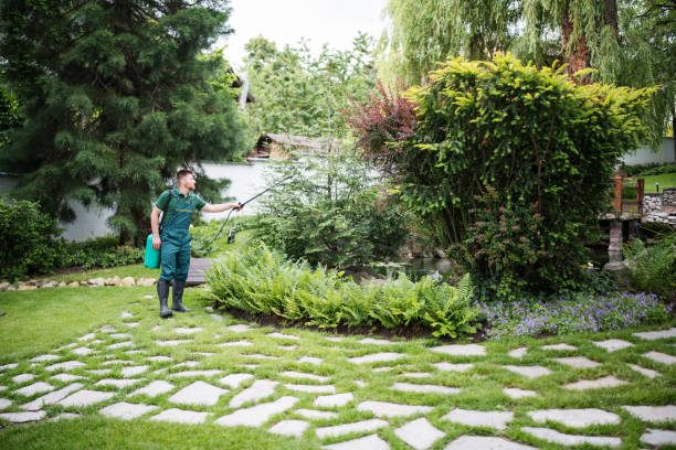 Best Pest Control Near Me in Leonardtown, MD