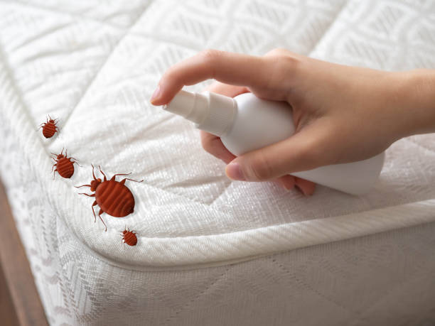 Best Flea Control Services  in Leonardtown, MD