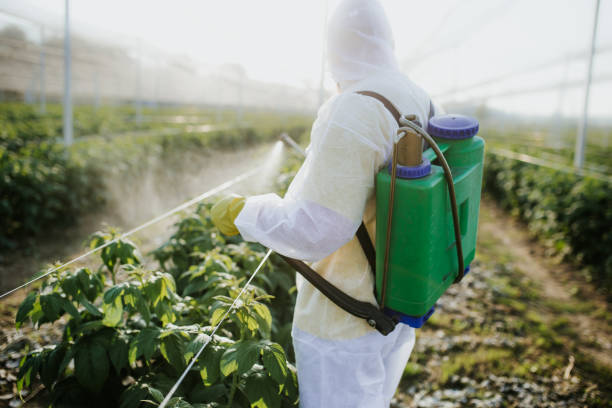 Best Wasp Removal Services  in Leonardtown, MD